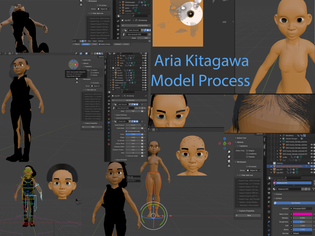 Aria Kitagawa model process